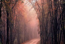 BB体育官方：何卓佳：业余时间喜欢“养生”，有了好的身体才能做好事业.