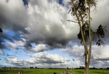 BB体育官方：足球——欧罗巴联赛：法兰克福晋级八.