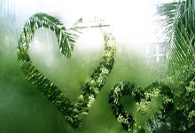 BB体育官方：德甲-穆西亚拉双响凯恩破门 拜仁3-0十人霍芬海姆.