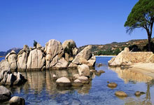 BB体育官方：葡萄牙vs丹麦首发：C罗领衔，B费、B席、莱奥先发，霍伊伦出战.